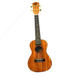 Snail UKC-458E Concert Mahogany Ukulele inc Gigbag