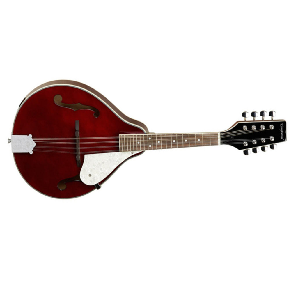 Mandolin