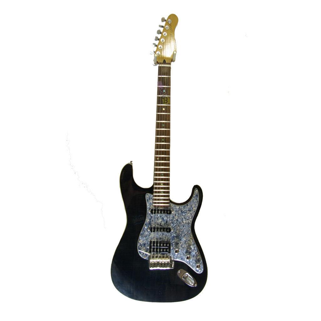 WWR AS Custom Custom Electric Guitar