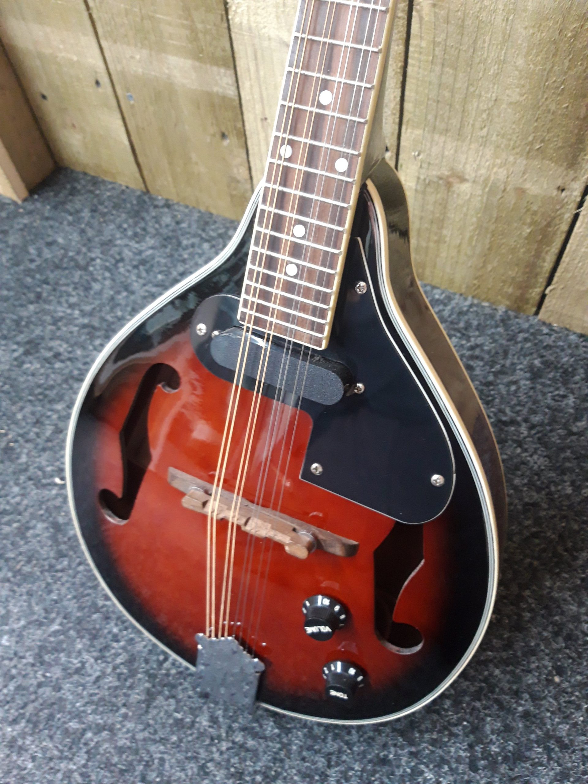 Stagg on sale m50e mandolin