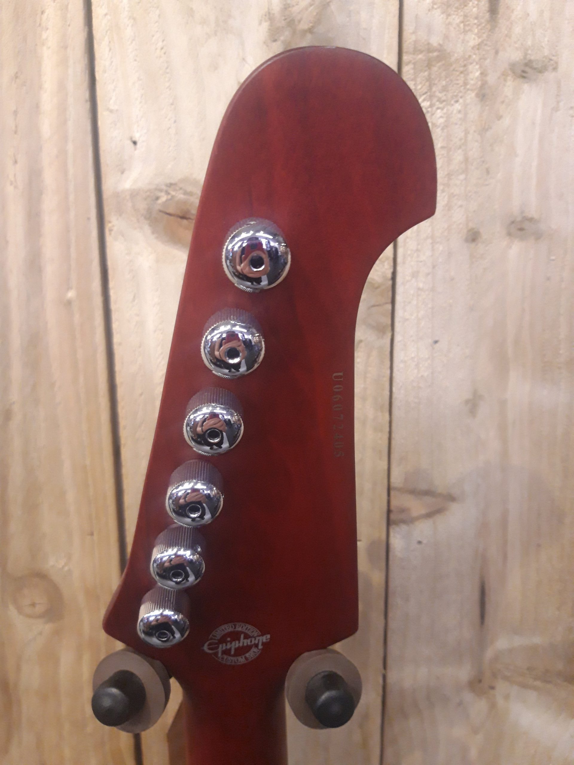 Epiphone firebird shop guitar case